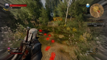 The Witcher 3 Screenshot